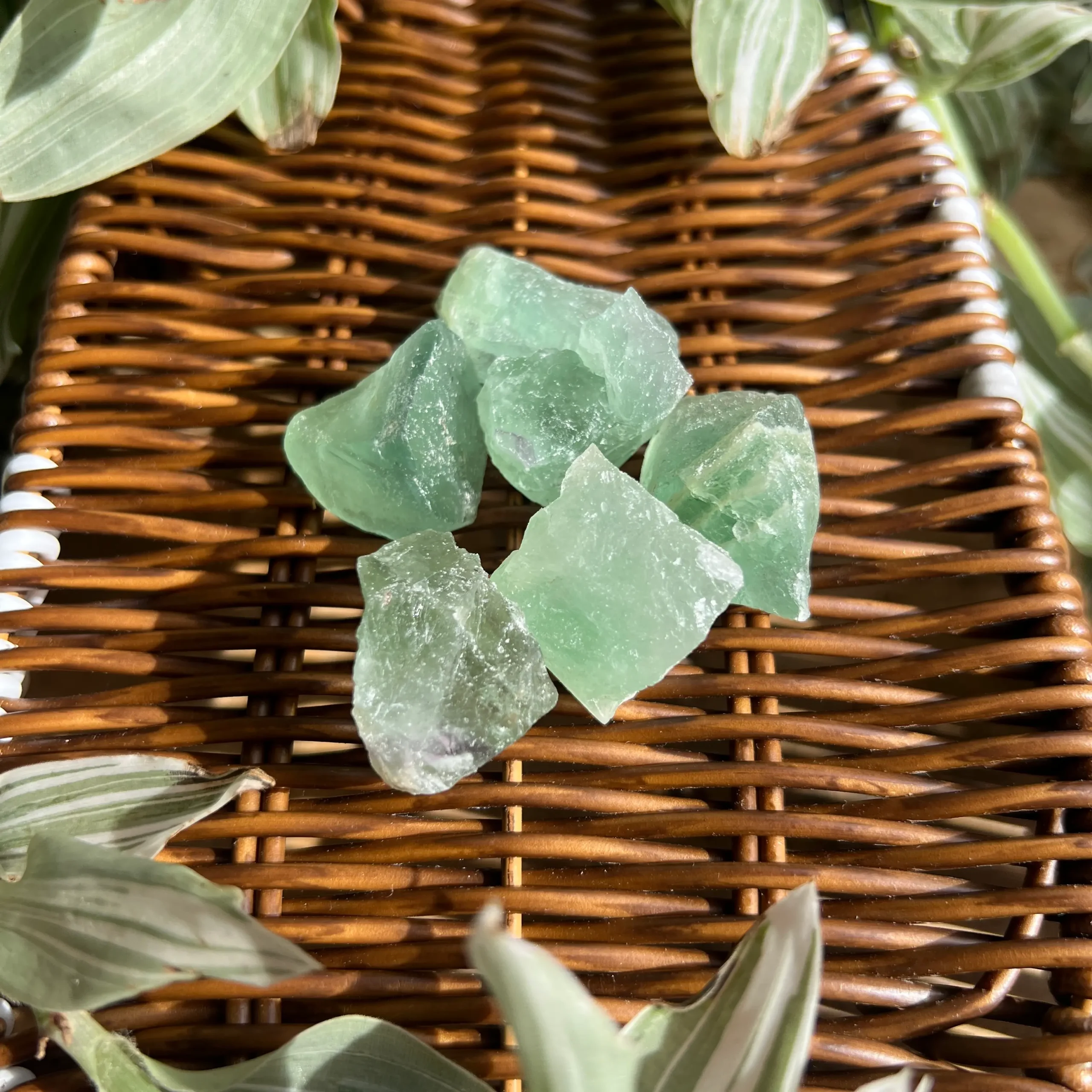 Fluorita Verde en Bruto | 3 Cristales Naturales Irregulares de 50g